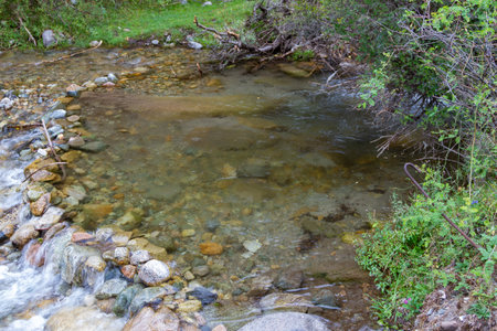 bubbling mountain stream with clear water in the gorge of the Tien Shan mountainsの写真素材