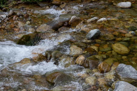 bubbling water among stones in a small mountain streamの写真素材
