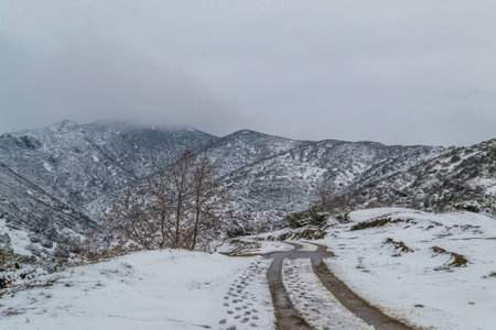 Winter road leading to the icy dark mountain.の写真素材