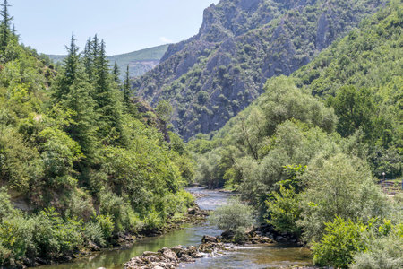 River between green forest mountain on sunny dayの写真素材