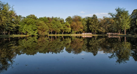 City park lake reflectionの写真素材