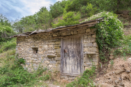 Abandon house, destroed by the nature and timeの写真素材