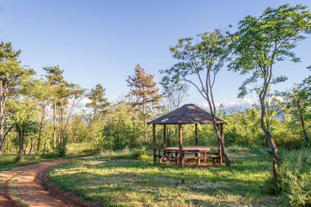 Reste place bench in the middle of the woodの写真素材
