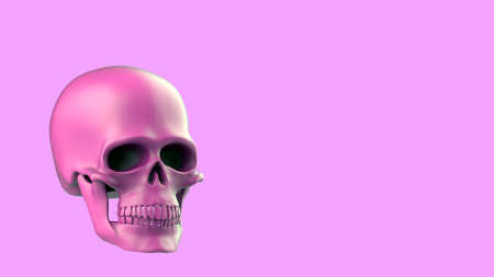 3d render pink skull on a pink background. Modern designの写真素材