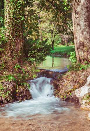 Beautiful stream in the autumn park in Sloveniaの写真素材
