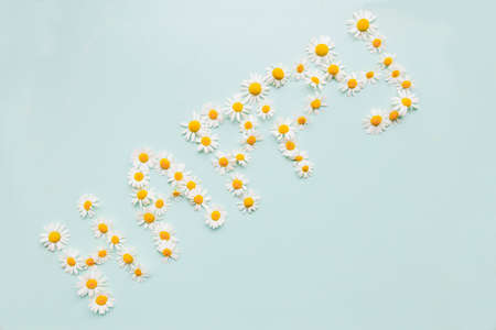 Lettering happiness made by flowers on a blue background
