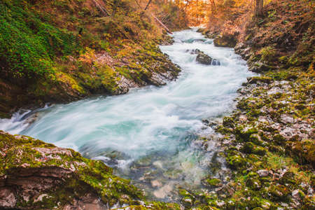 Mountain river in the picturesque Vintgar gorge in autumn Sloveniaの写真素材