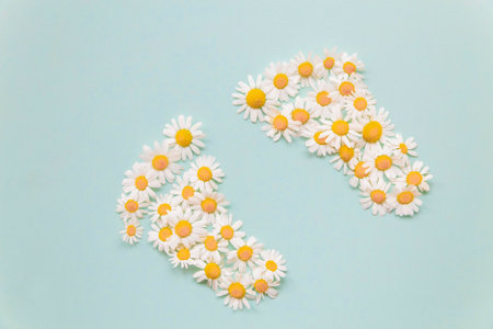 daisies are laid out on a blue background in the form of two children's legsの写真素材