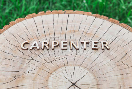 word "carpenter" made of wooden letters on stump in the forestの写真素材