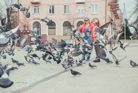 Mom and daughter feed pigeons on the streetの写真素材
