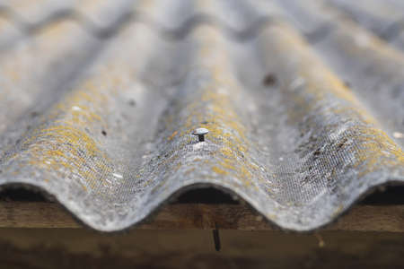 huge nail in an old moss-covered roof
