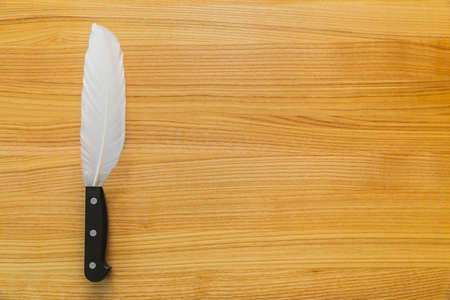 knife with a feather instead of a blade. The weapon of the writer. Background