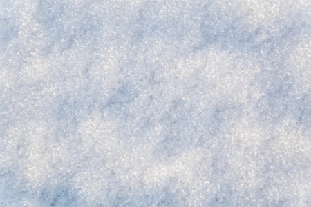 Winter background. Snowflakes close up. Place for textの写真素材