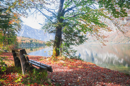 bench near picturesque lake Bohinj in the Triglav National Park in Slovenia. autumn landscapeの写真素材