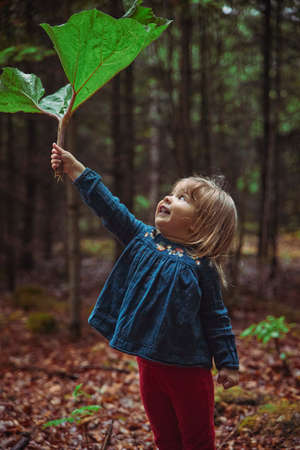 beautiful baby is hiding in the forest from the rain under the burdockの写真素材