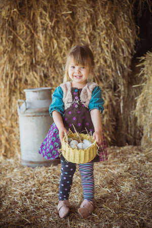 Charming child collects chicken eggs in a basket in a barnの写真素材