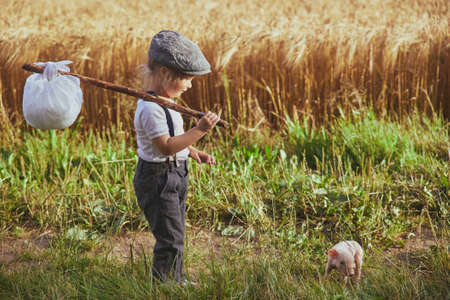 The little traveler met a piglet in the field.の写真素材