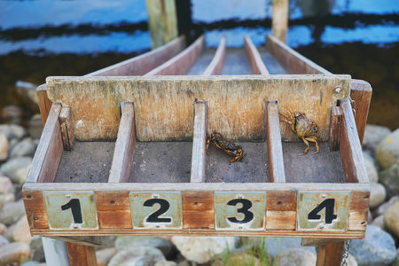 Toy springboard for crabs on the pier in Denmarkの写真素材