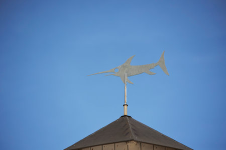 Shark weather vane on the roof of an oceanarium in Denmarkの写真素材