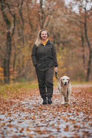 Charming woman walking in the forest in Denmarkの写真素材