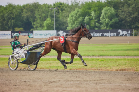 Odense, Denmark, May 31, 2024: Horse racing with carts at hippodrome