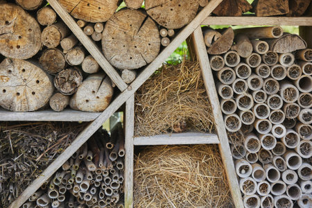 Background. Special house for insects and rodents in Denmarkの写真素材