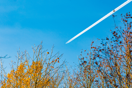 The plane flies in the blue skyの写真素材
