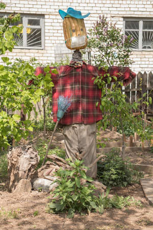 Homemade scarecrow standing in the middle of the gardenの写真素材