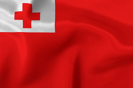 Flag of the state of Tonga close-up.の写真素材