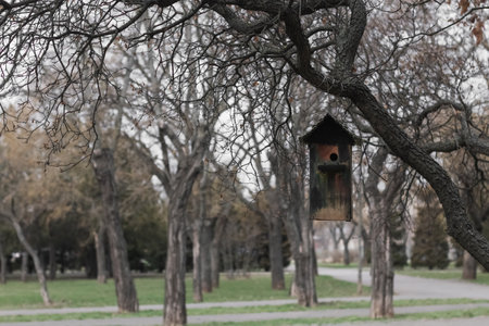 Close-up of colorful birdhouse against blurred park treesの写真素材