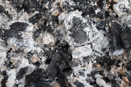 Close-up of cooled coals of burnt woodの写真素材