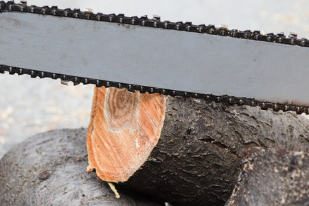 electric saw against the background of sawn logs close-upの写真素材