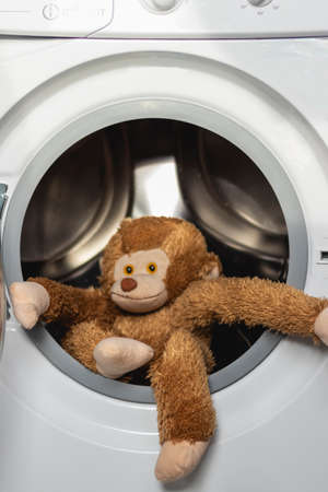 the toy monkey goes out from the washing machineの写真素材
