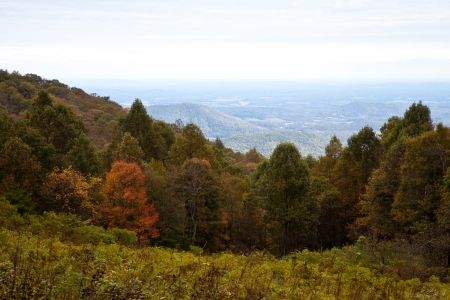 Dramatic Autumn Colours landscapeの写真素材