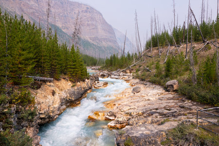 Stormy Mountain River flows in the middle of the rocky gorge, Kootenay National Park, Vermilion River, British Columbia, Canada, Beautiful Scenic Viewの写真素材