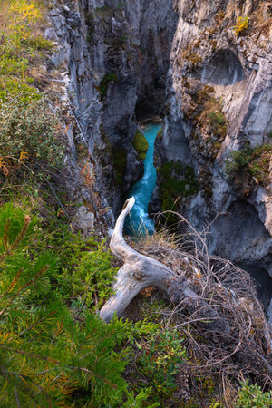 Stormy Mountain River flows in the middle of the Marble Canyon gorge, Kootenay National Park, Vermilion River, British Columbia, Canada, Beautiful Scenic Viewの写真素材