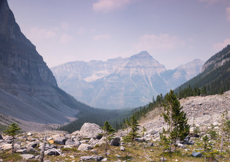 Sunny Morning in the Canadian Rockies Gorge Trail, Canada, Beautiful Scenic Viewの写真素材