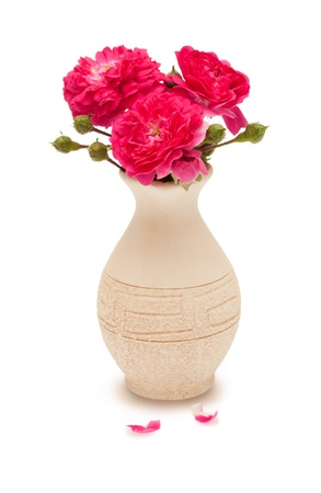 Bouquet of pink roses in a vase isolated on white backgroundの写真素材