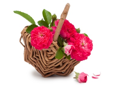 Basket with beautiful flowers isolated on white backgroundの写真素材