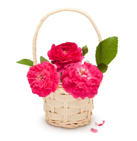 Bouquet of pink roses in a basket isolated on white backgroundの写真素材
