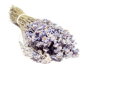 Bunch of dry lavender isolated on the white backgroundの写真素材