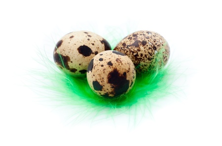 Quail eggs and green feather isolated on the white backgroundの写真素材