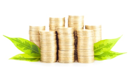 Pile of gold coins with green leaves isolated on the white background  Concept Growth of Businessの写真素材