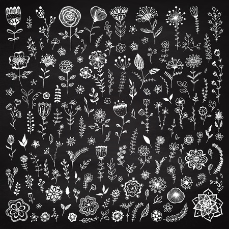 Set of floral elements on the chalkboard. Chalk elements for design, wedding decor. Vintage background. Sketch flowers and leaves. Greeting card. Vector illustration.のイラスト素材