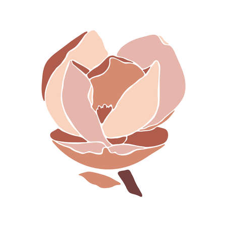 Magnolia flower on white background, closeup. Style floral collage in pastel color palette. Modern minimalist art. Illustration for wedding invitation, greeting card, poster, other designs. Vector.のイラスト素材