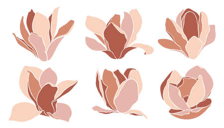 Magnolia flowers, isolated on white. Set of vector elements. Style floral collage in terracotta tones. Modern minimalist art. Templates for wedding invitation, greeting card, poster, other designs.のイラスト素材