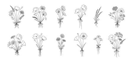 Wildflower line art bouquets set. Hand drawn flowers, meadow herbs, wild plants, botanical elements for design projects. Vector illustration.のイラスト素材