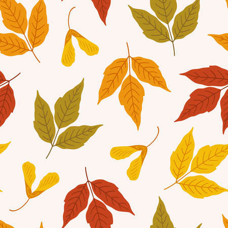 Autumn seamless pattern with ash-leaved maple leaves and seeds. Vector illustration on white background. Fall ornament. Foliage print for fabric, package, wrapping. Red, orange, yellow, green colors.のイラスト素材