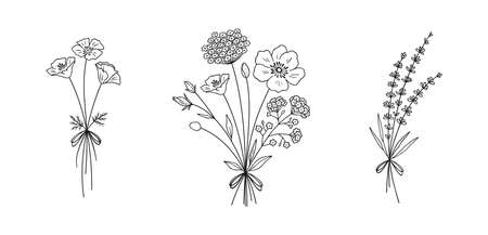 Wildflower line art bouquets set. Hand drawn poppy, lavender, other wild plants. Meadow flowers, herbs for design projects. Vector illustration.のイラスト素材
