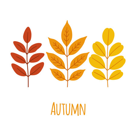 autumn leaves set. Fall foliage in red, orange, yellow colors on white background. Template for greeting card, poster, flyer, leaflet, other designs. vector illustration.のイラスト素材